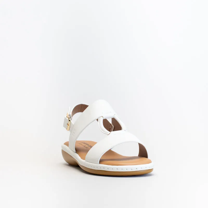 Pierre Cardin Women Metal Trim Sandal _ 152991