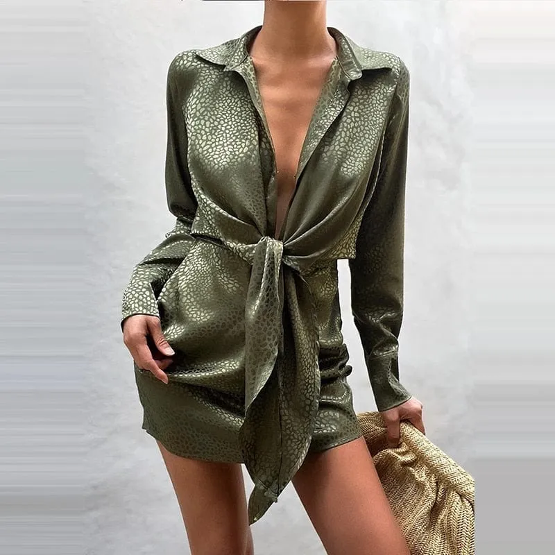 Risque Elegant Dress